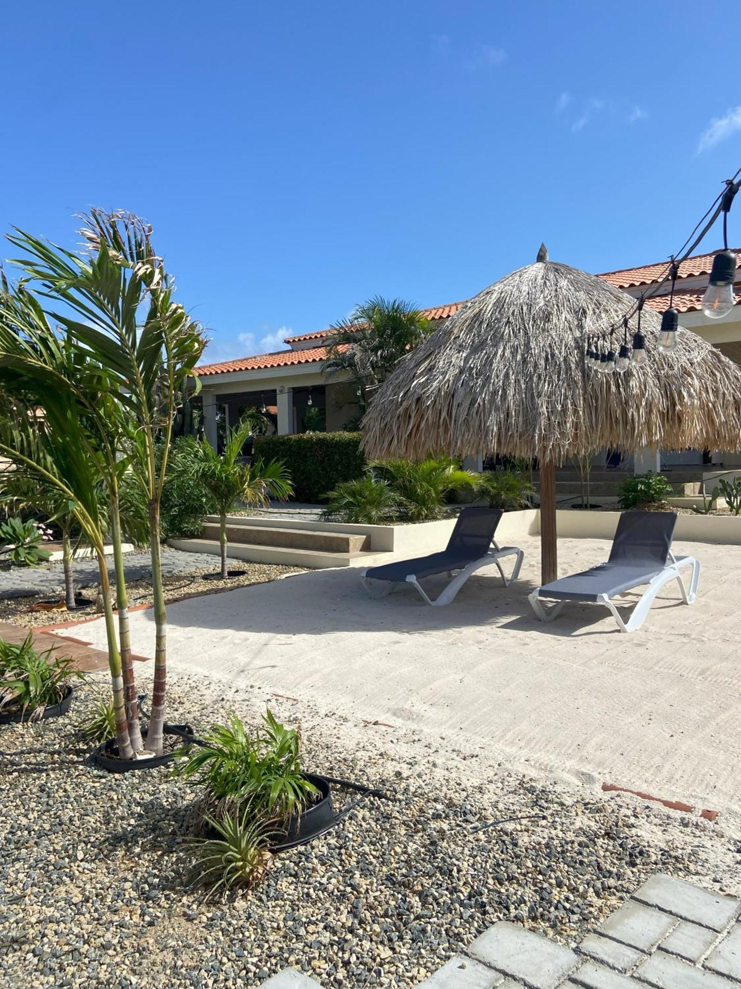 Pura Vida Aruba Appartement Palma Noord Exterior foto
